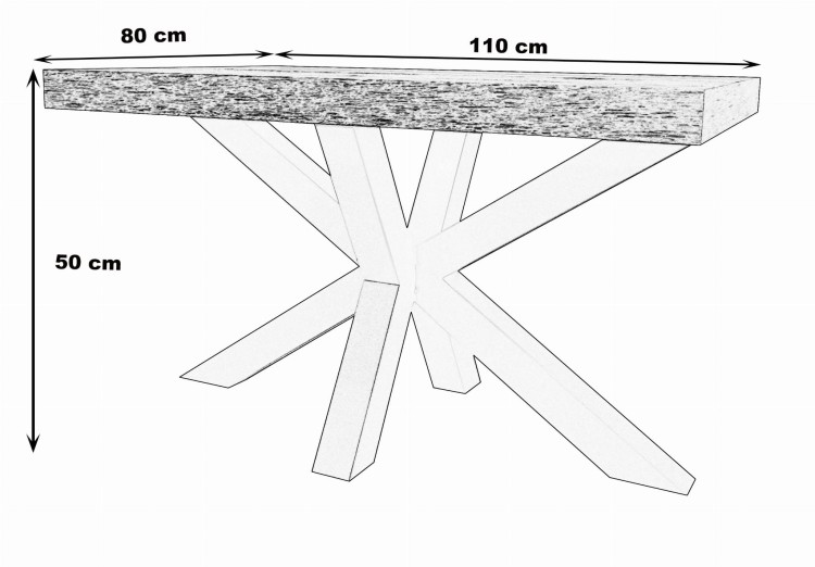 PAJĄK 80x110.jpg