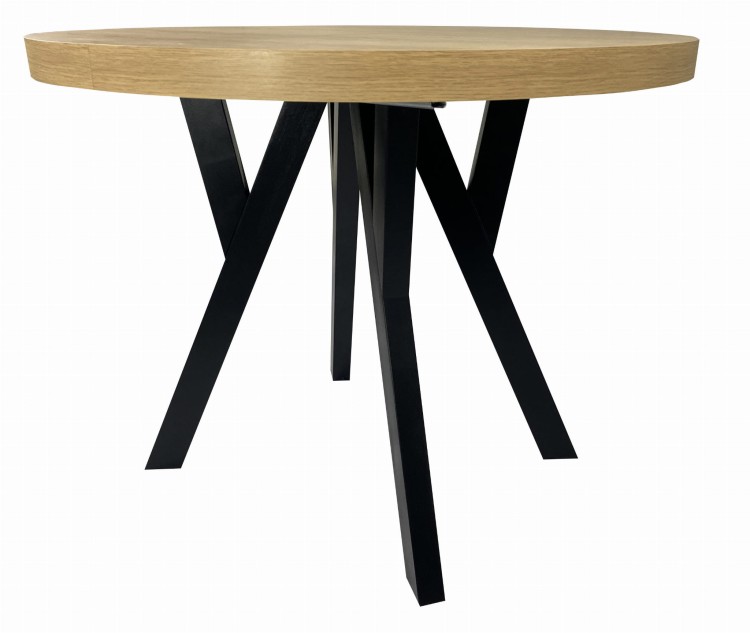 _mini2 — kopia.jpg