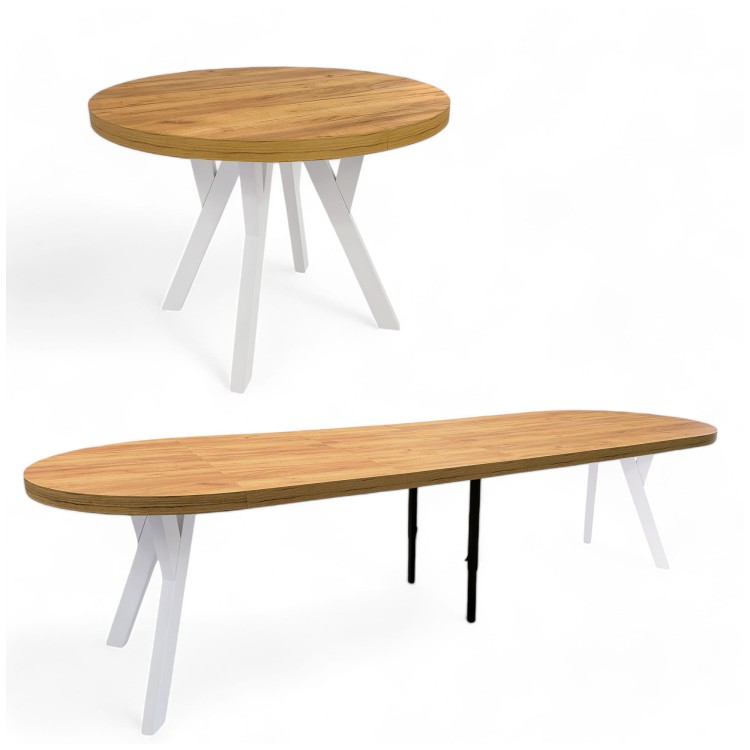 mini1-Photoroom (3).jpg