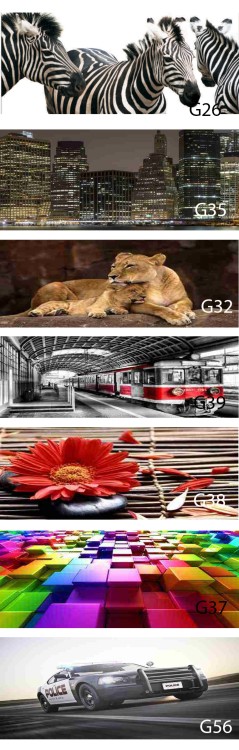 7a5f91db437eb2e89d890df8eea0